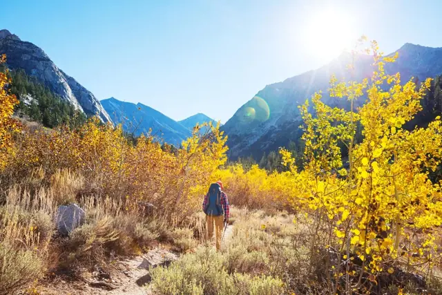 A hiking trail in autumn