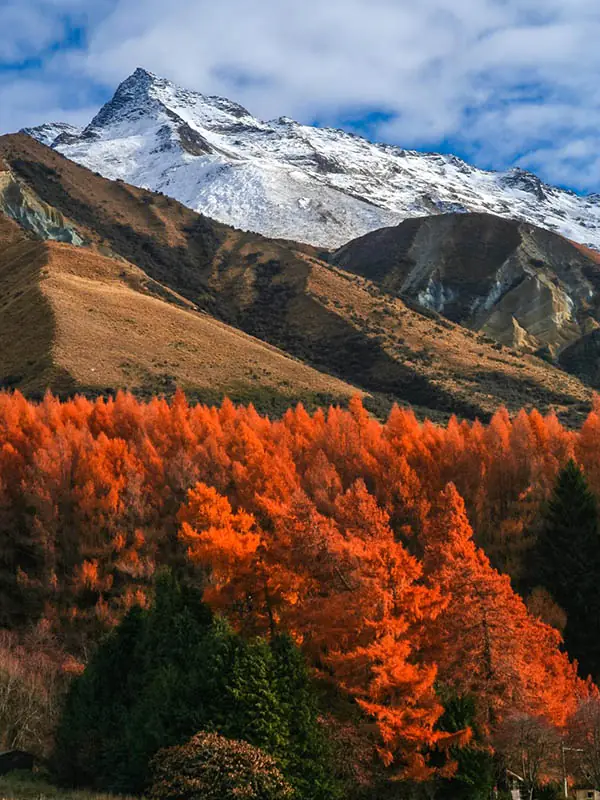 New Zealand